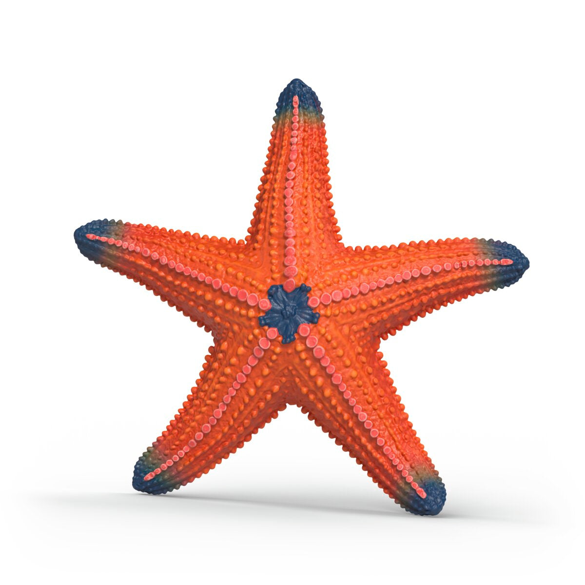 置物 Rare Species Color Changing Starfish 14902 WILD LIFE | Schleich USA Inc.