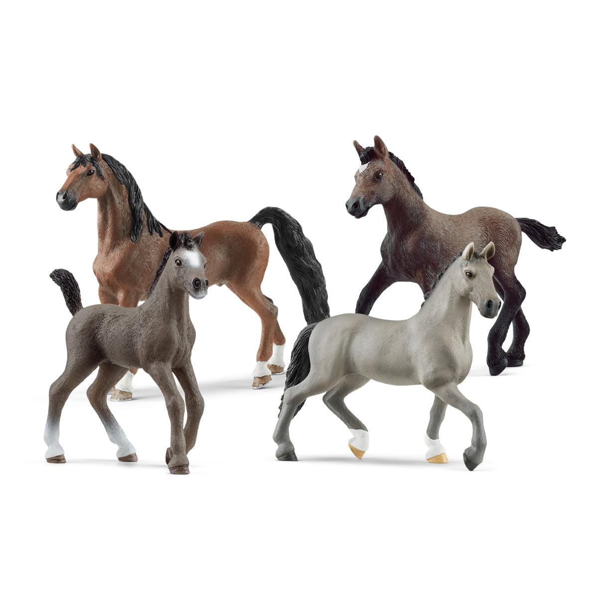 4 Piece Horse Club Collector Set