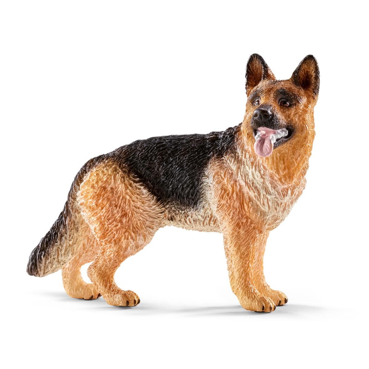 German Shepherd Ages German Shepherd Age In Dog Years How Old Is