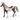 Hongre cheval de peinture