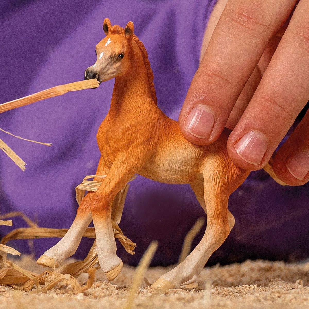 Schleich baby horses online