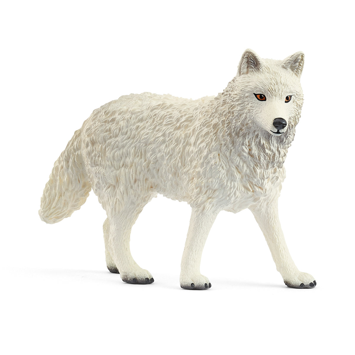 Loup arctique