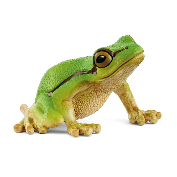 European Tree Frog 14882 | Schleich USA Inc.