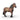 North Swedish Cold Blooded Mare