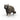 Raton laveur