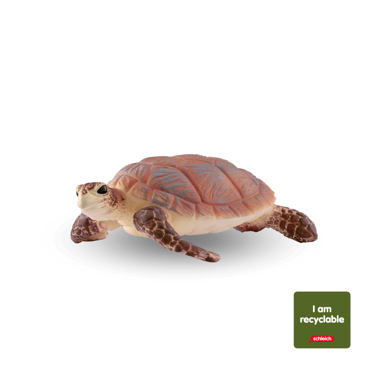 Hawskbill Sea Turtle - Cradle to Cradle®