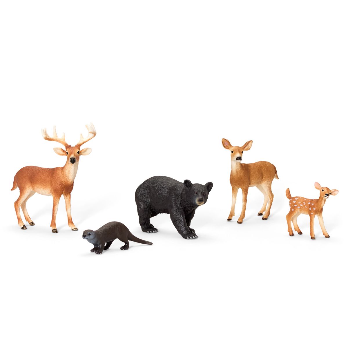 Ensemble de 5 pièces sur le thème de la forêt nord-américaine