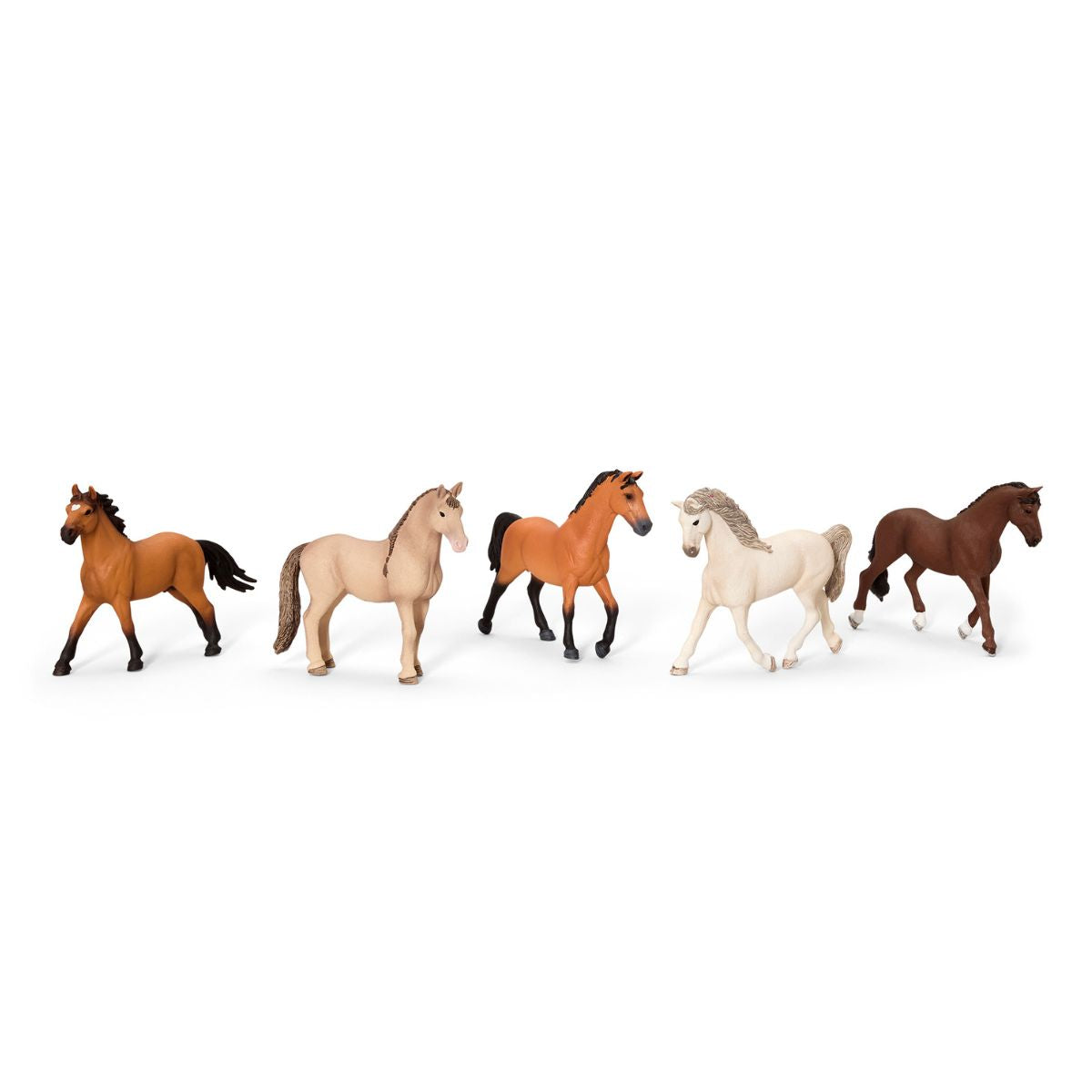 Ensemble de 5 articles pour les concours équestres