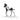Poulain de collection Rocky