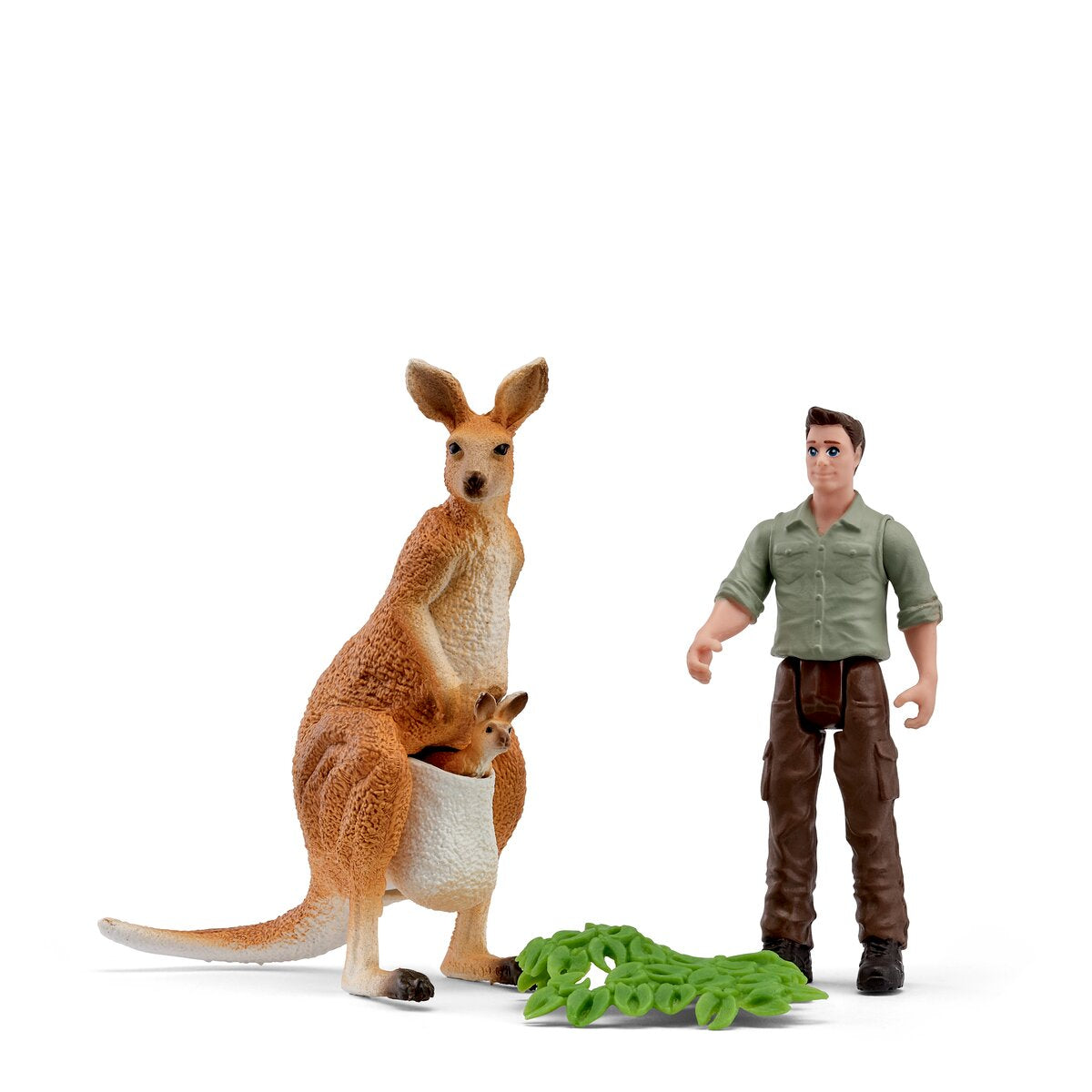 Kangaroo Tour w Ranger