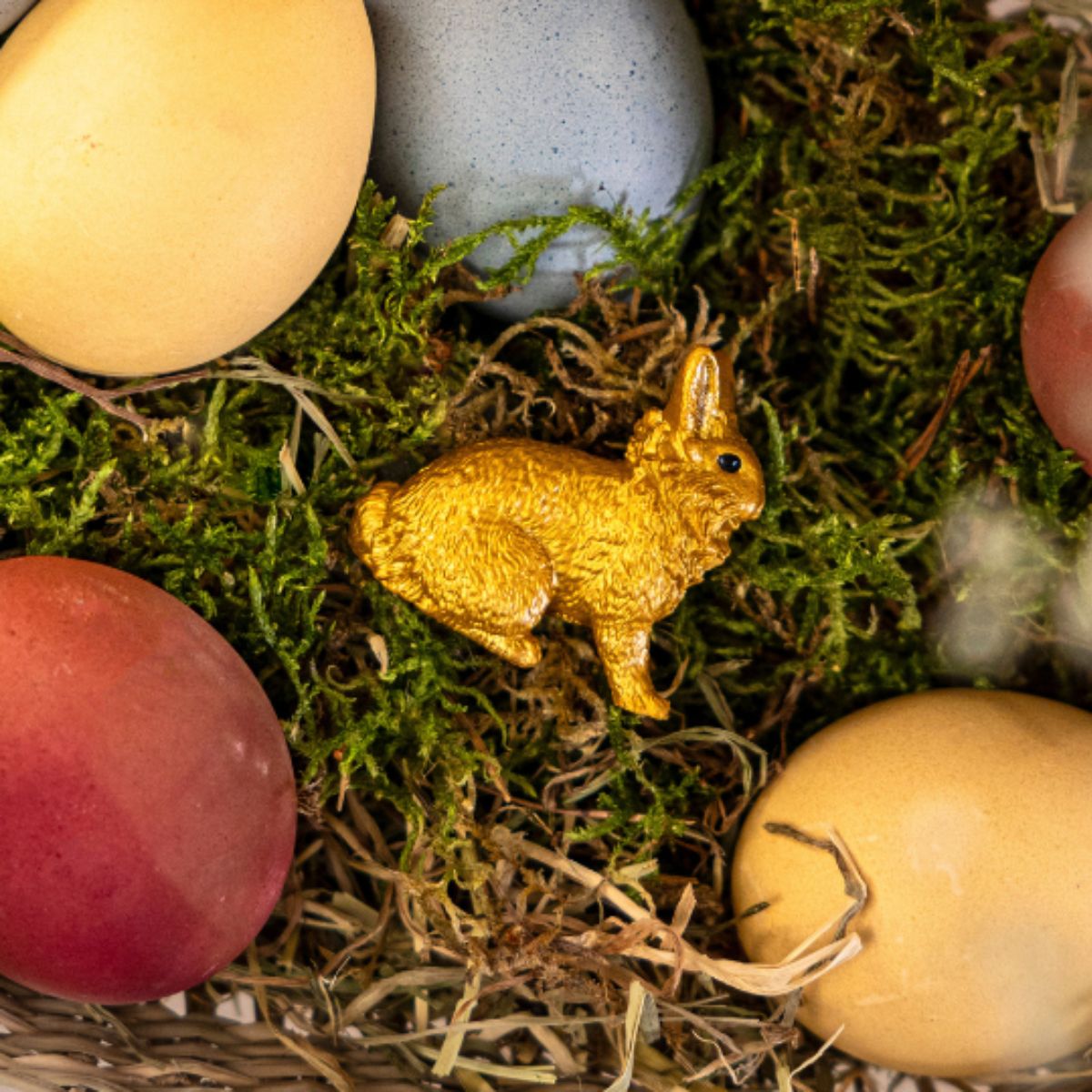 Golden Rabbit Color Golden Rabbit 72276 | Schleich USA Inc.