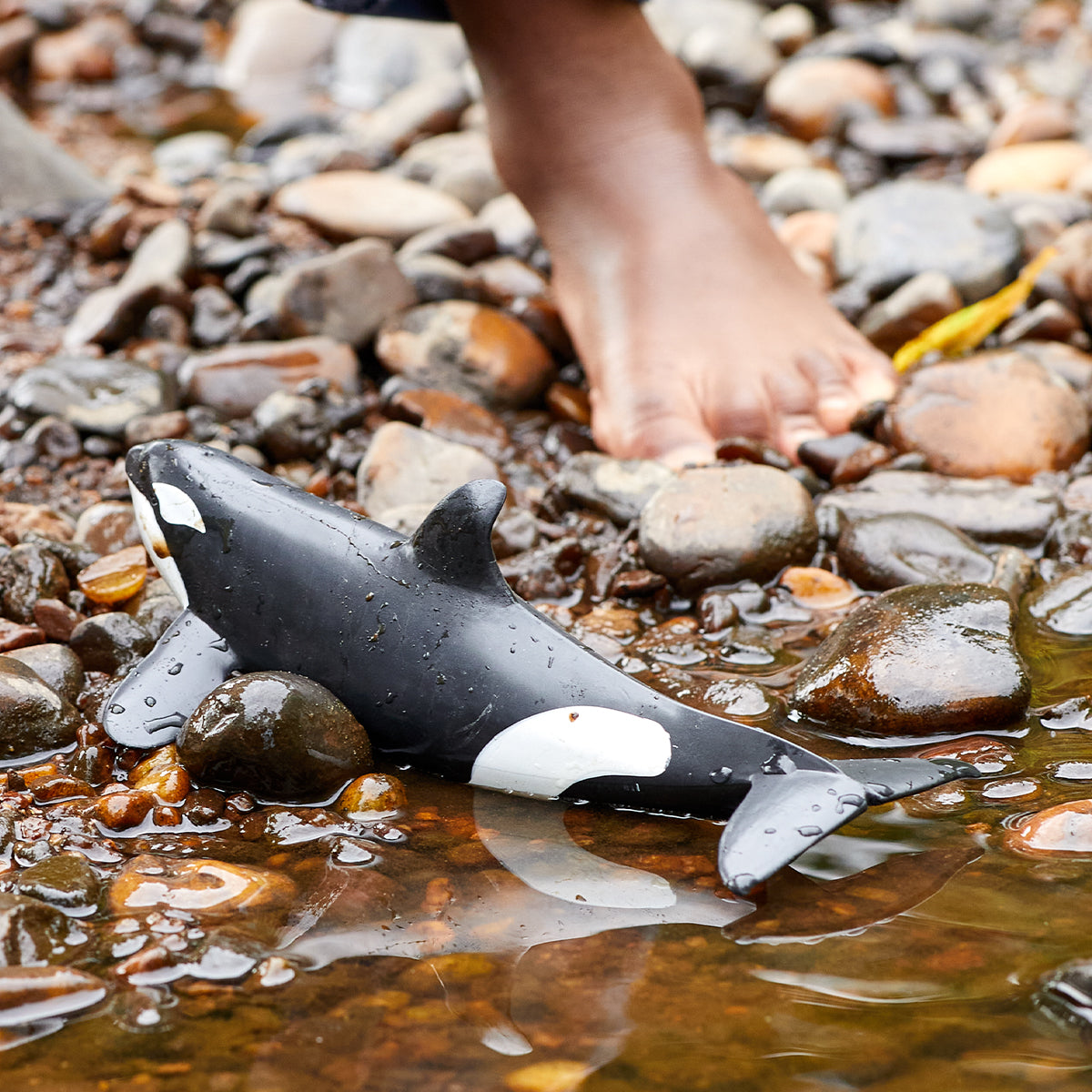 Killer Whale 14807 | Schleich USA Inc.