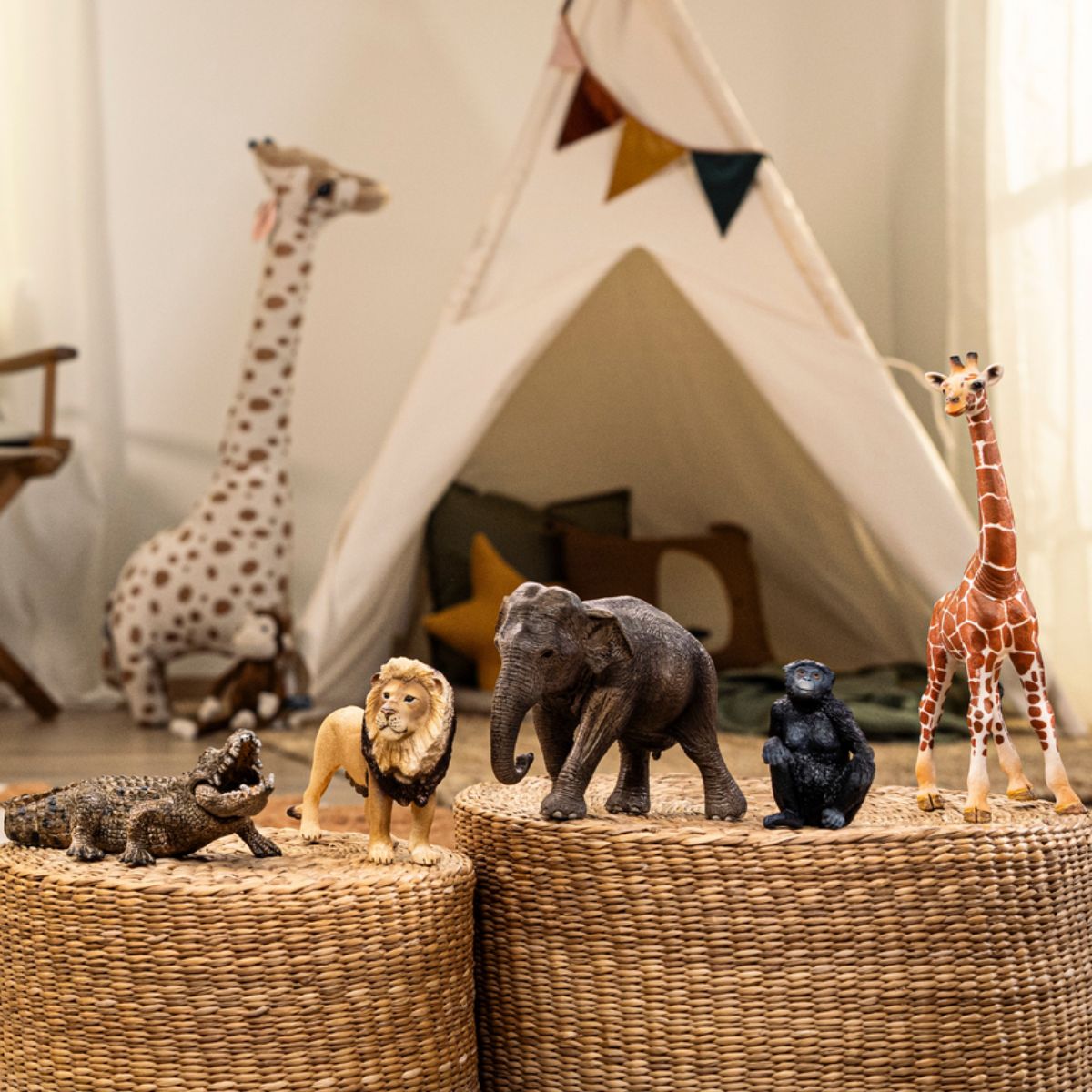 Coffret Vie Sauvage - Afrique