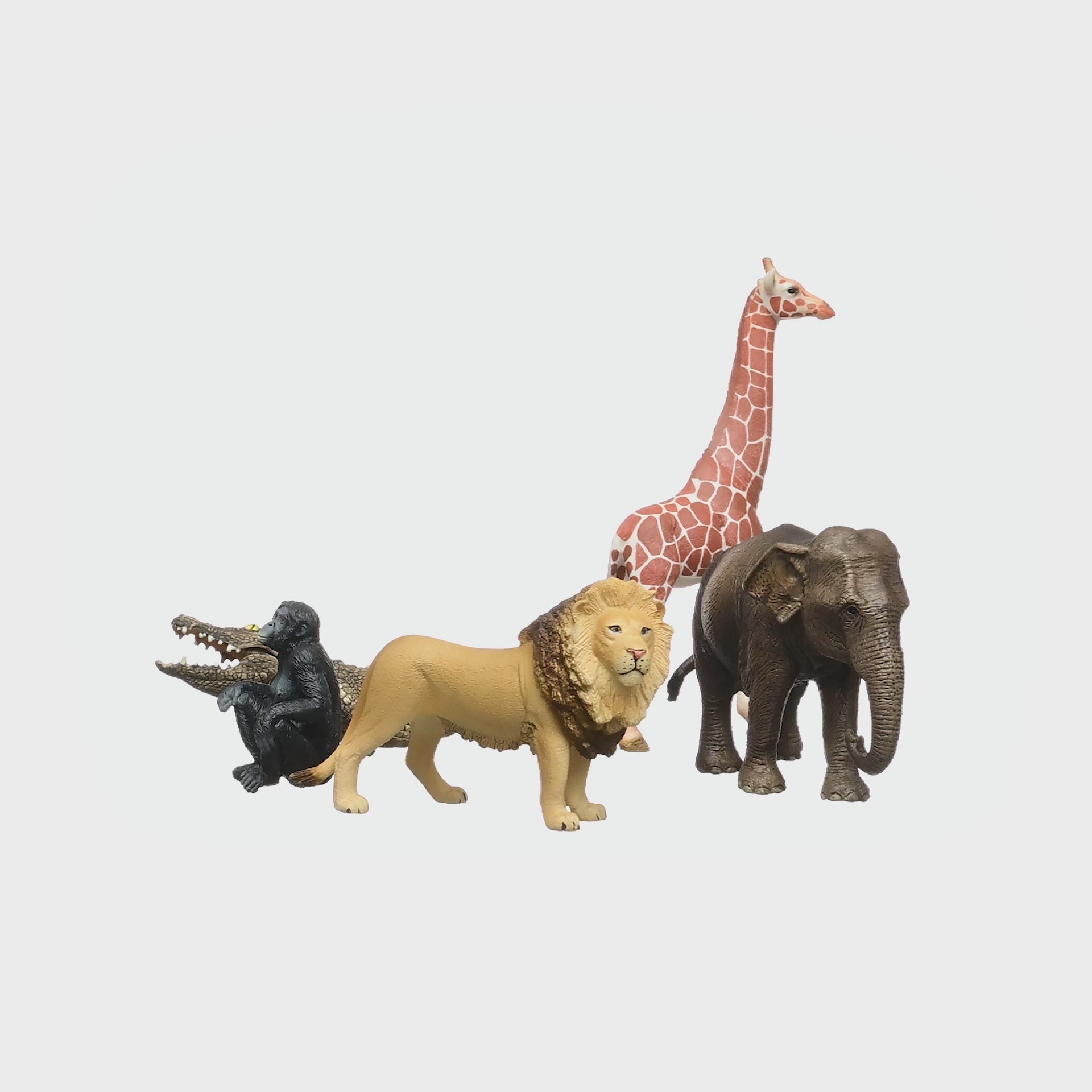 5-Piece Safari Adventure Bundle 72286 | Schleich USA Inc.