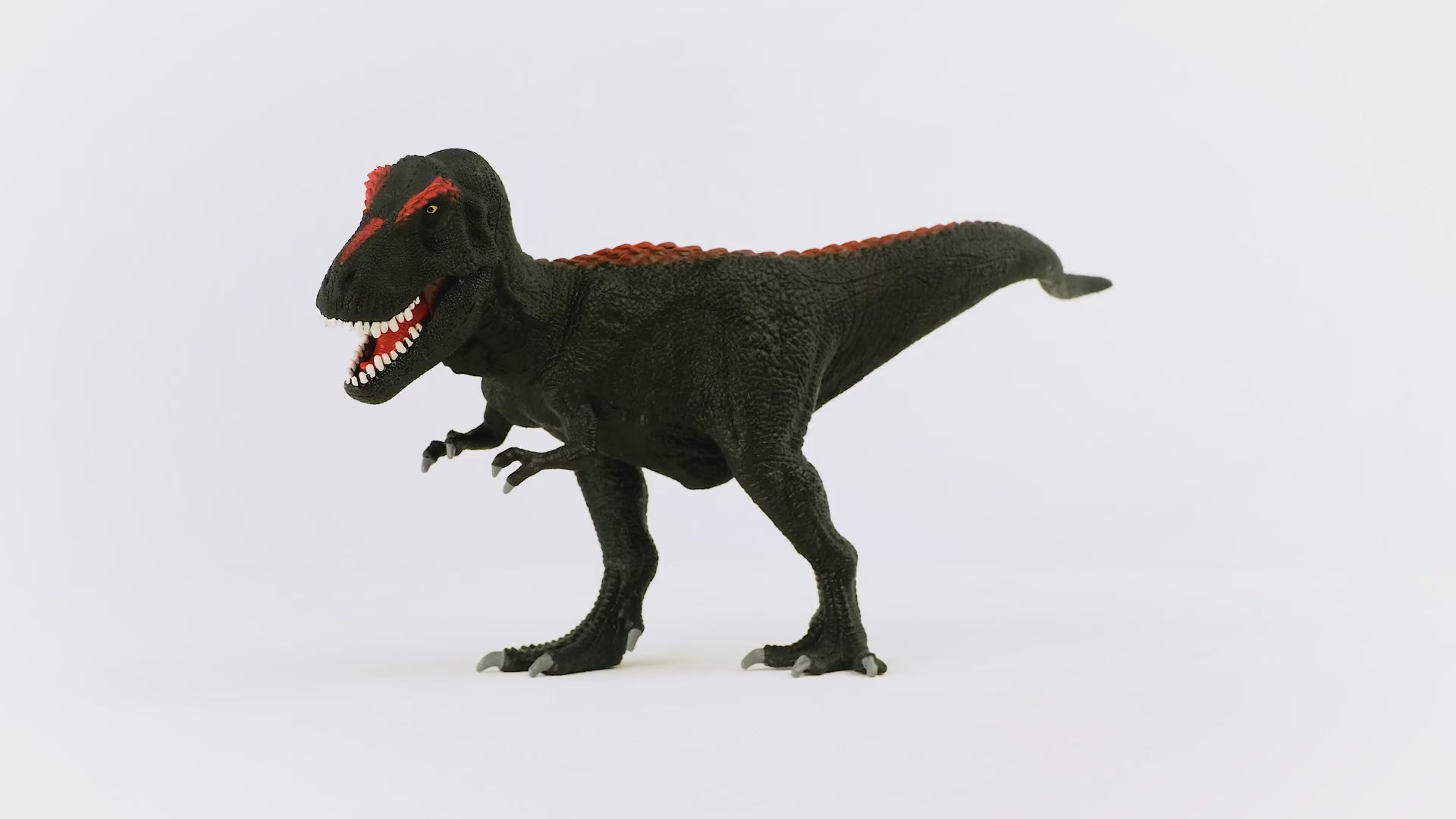 Limited-Edition Midnight T-Rex 72175 | Schleich USA Inc.