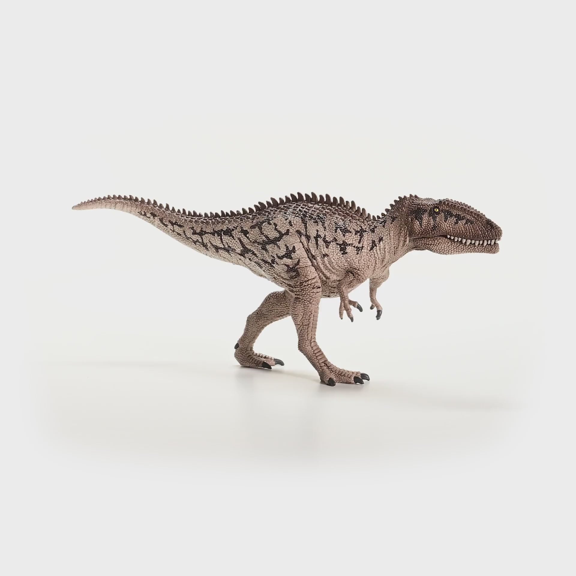 Carcharodontosaurus 15048 | Schleich USA Inc.