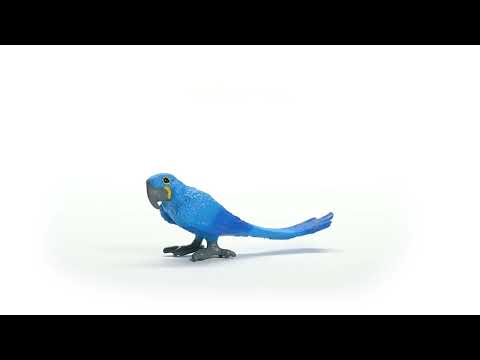 Hyacinth Macaw 14859 WILD LIFE