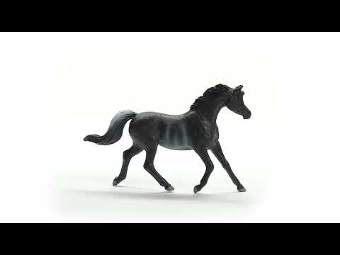 Arabian Stallion 13981 HORSE CLUB | schleich