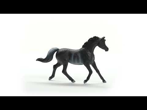 Regalo Para Niños 5 Años Schleich 13981 Semental Árabe – Figura De Caballo Realista Para HORSE CLUB, De 5 A 12 Años, 15 X 5 X 10 Cm Regalo Para Niños 5 Años Schleich 13981 Semental Árabe – Figura De Caballo Realista Para HORSE CLUB, De 5 A 12 Años, 15 X 5 X 10 Cm