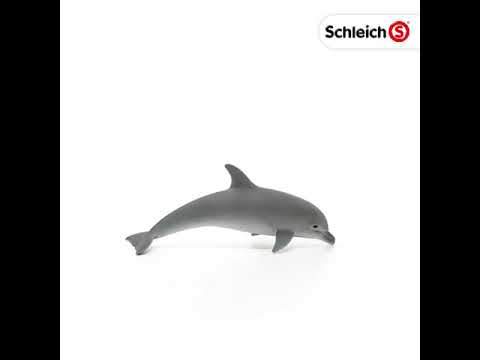 Dolphin 17100 | Schleich USA Inc.