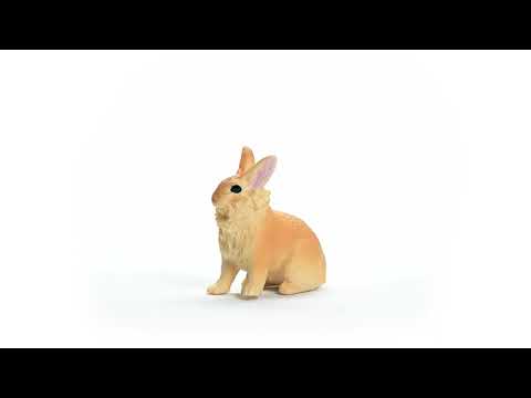 10 idées de cadeaux pour faire plaisir à son lapin - Rabbits World