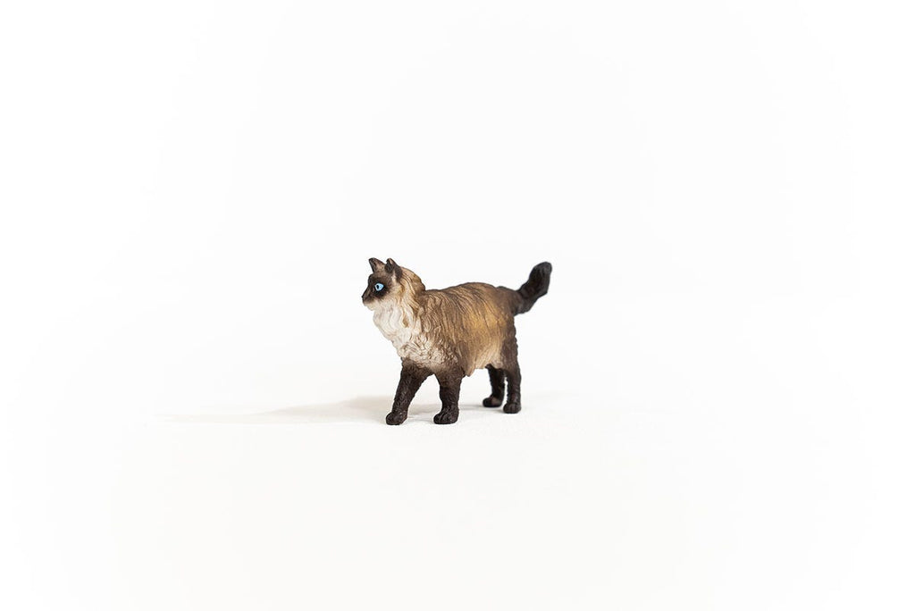 Figurine Chat De La Ferme Schleich - Figurine Animalière Collection - Neuve