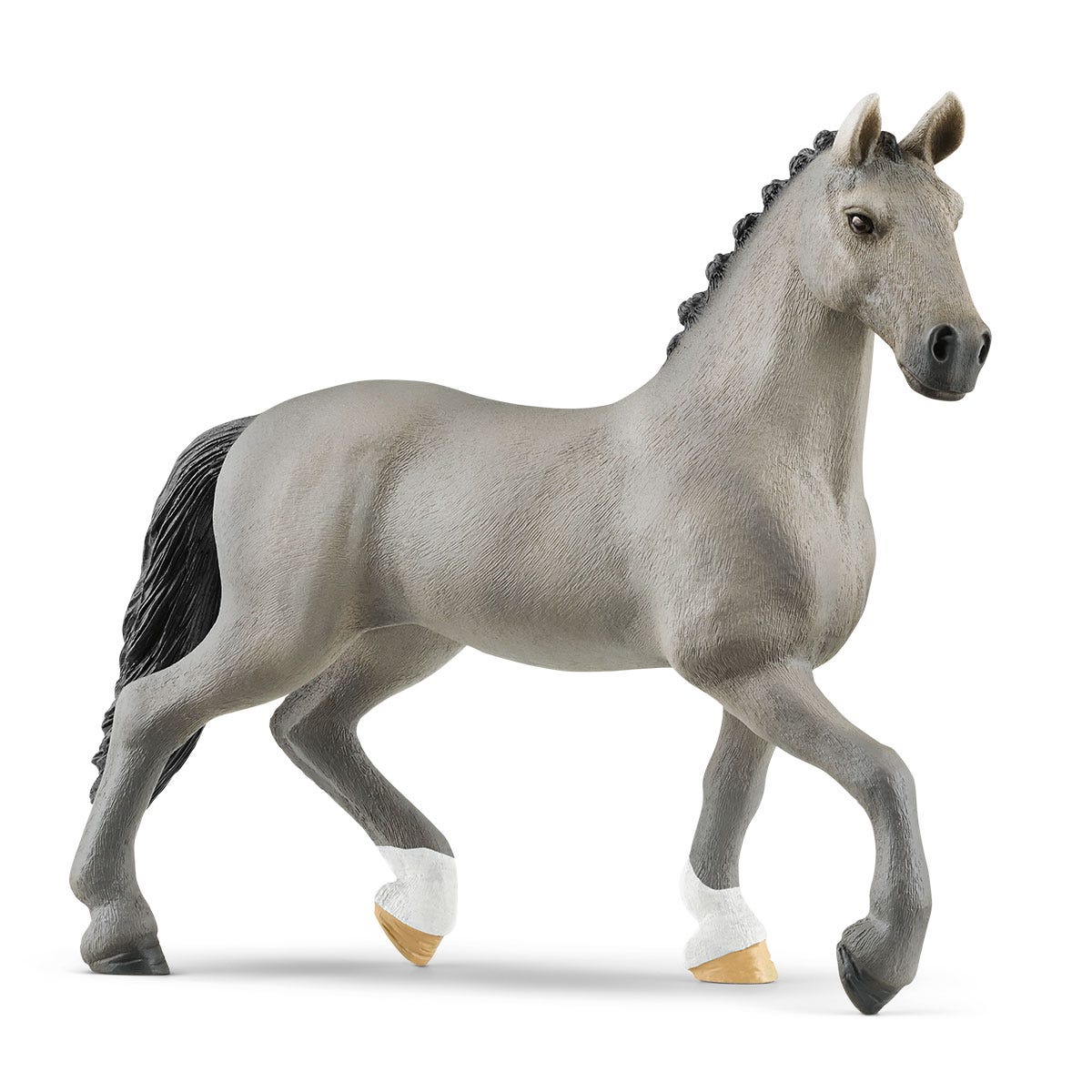 Selle Français Stallion