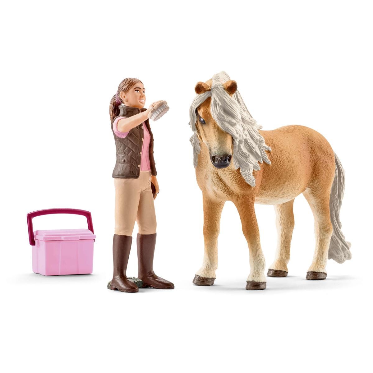 Groom with Icelandic pony mare