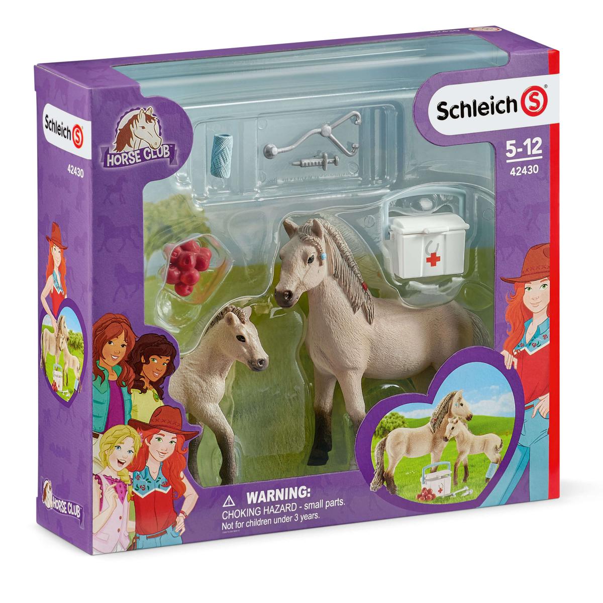 schleich HORSE CLUB | Lisa & Storm 42712 | figurine articulée | avec accessoires pour cheval | superbe cadeau pour filles et garçons | jouet équestre dès 5 ans | 6 pièces schleich HORSE CLUB | Lisa & Storm 42712 | figurine articulée | avec accessoires pour cheval | superbe cadeau pour filles et garçons | jouet équestre dès 5 ans | 6 pièces