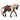Spectacle équestre de juments Rocky Mountain Horse