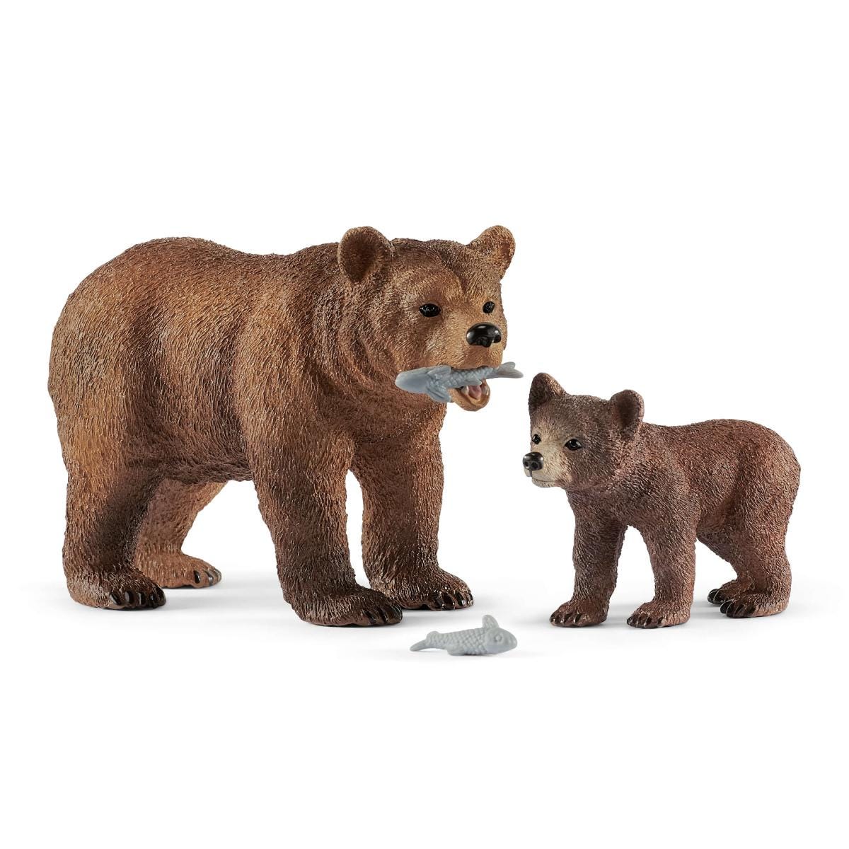 Mère d'ours grizzli avec son petit