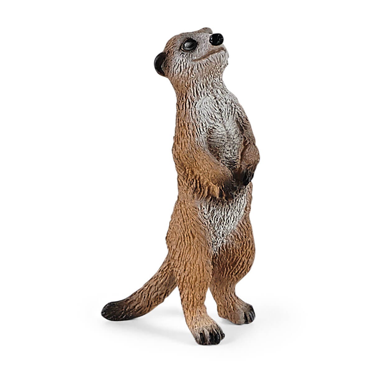 Schleich meerkat cheap