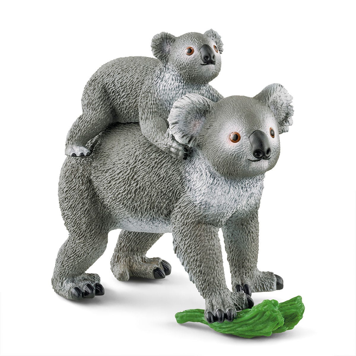 Koala mère et bébé