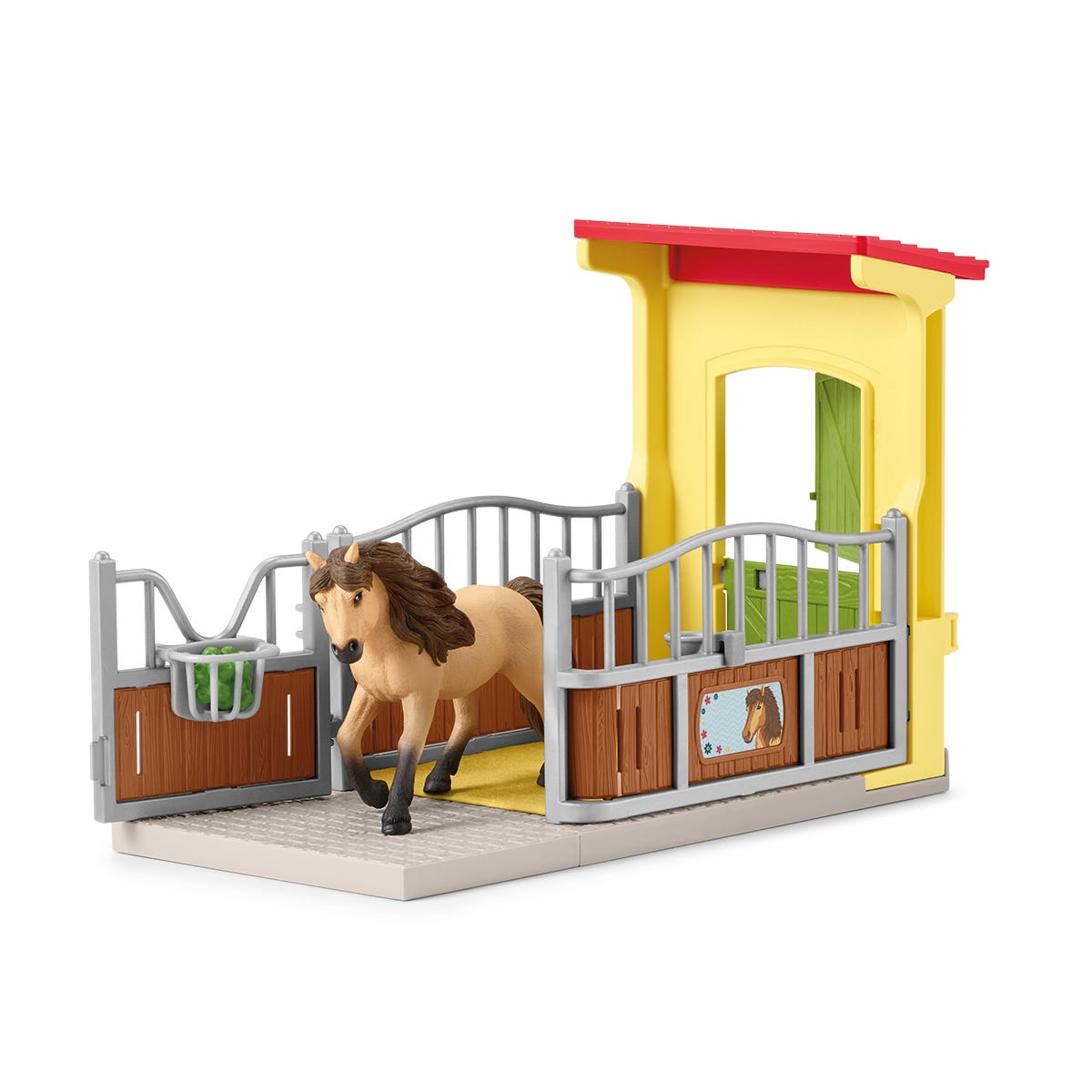 Pony Box with Iceland Pony Stallion