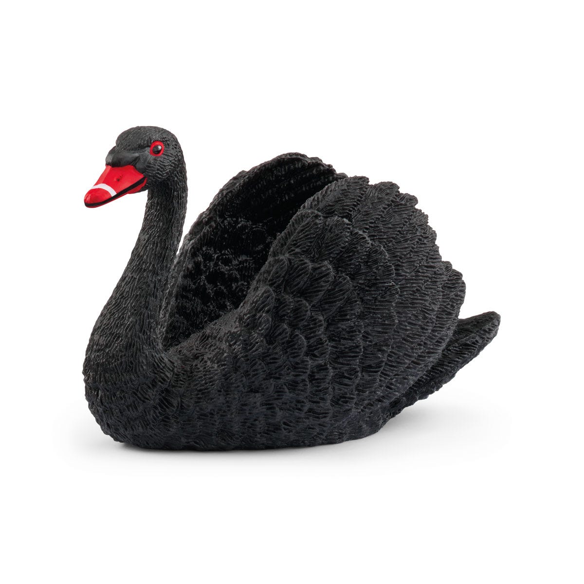 Limited-Edition Black Swan